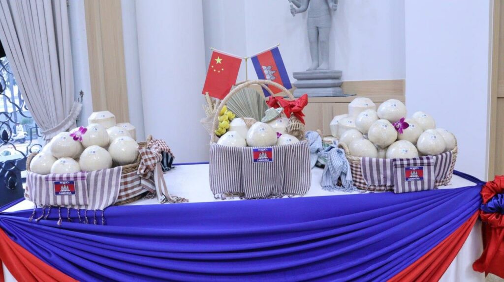 អ្នកនាំពាក្យ៖ ចម្ការដូងចំនួន១៣ និងទីតាំងវេចខ្ចប់ចំនួន៥ ដែលទទួលបានអនុញ្ញាត កំពុងមមាញឹករៀបចំនាំចេញដូងទៅកាន់ទីផ្សារចិន