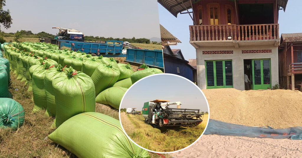 ប្រជាកសិករស្រុកកំពង់លែង ថ្លែងអំណរគុណថ្នាក់ដឹកនាំខេត្ត ដែលបានធ្វើឲ្យតម្លៃស្រូវប្រាំងឆ្នាំនេះ មានតម្លៃខ្ពស់ជាងឆ្នាំមុន