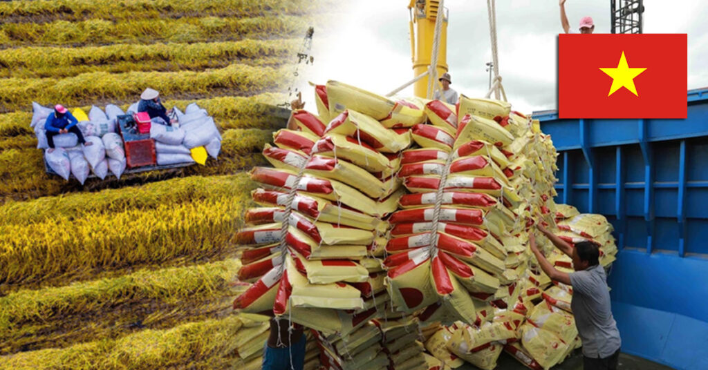 វៀតណាមនឹងផលិតស្រូវឱ្យបានគ្រប់គ្រាន់ សម្រាប់ការនាំចេញអង្ករចំនួន ៨លានតោន