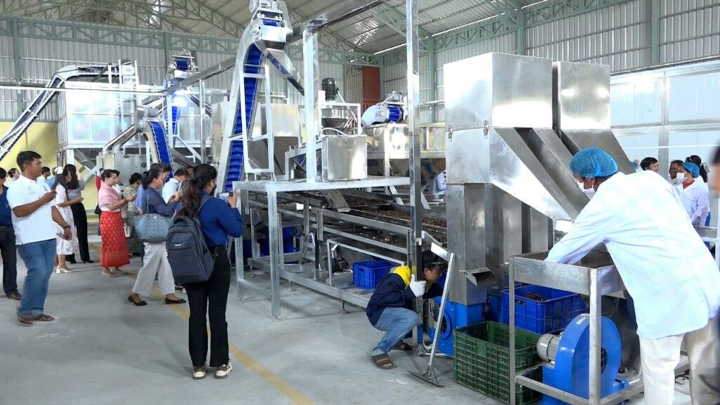 មន្ដ្រីជាន់ខ្ពស់ក្រសួងពាណិជ្ជកម្ម លើកទឹកចិត្តឱ្យវិនិយោគិនខ្មែរ ខិតខំកែច្នៃគ្រាប់ស្វាយចន្ទី ដើម្បីសម្រេចគោលនយោបាយជាតិ