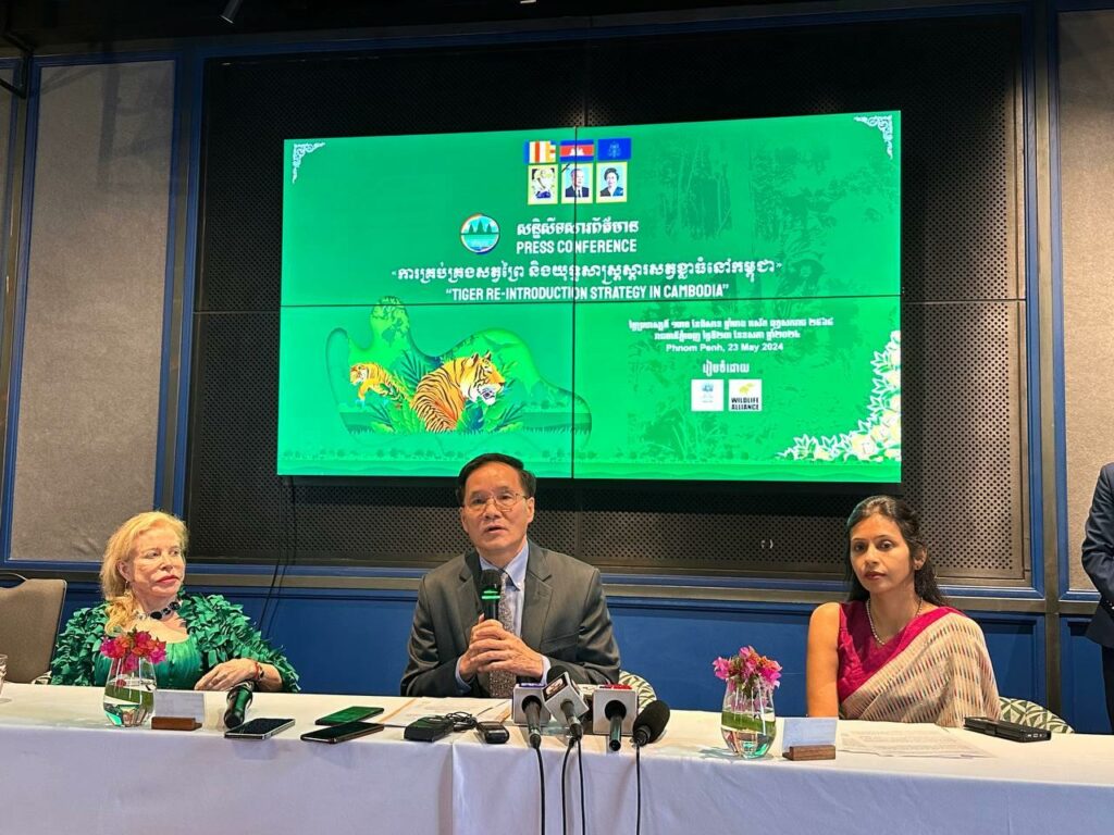 កម្ពុជា មានមហិច្ចតាពង្រីកចំនួនរបាយសត្វខ្លាធំ ឱ្យបានជាង ១០០ក្បាល ប្រសិនបើគម្រោងស្តារខ្លាធំជំហានទី១ ទទួលបានជោគជ័យ