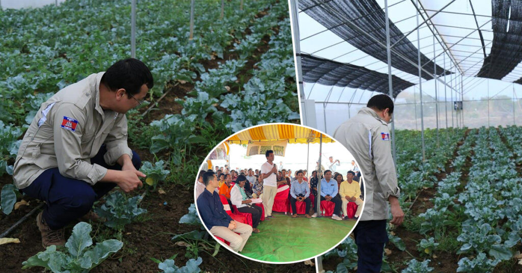 សហគមន៍ពេជ្រចិន្តា មានមហិច្ឆតាចង់ផ្គត់ផ្គង់បន្លែសុវត្ថិភាព ក្នុងទីផ្សារកម្ពុជា ដើម្បីសុខភាពពលរដ្ឋ