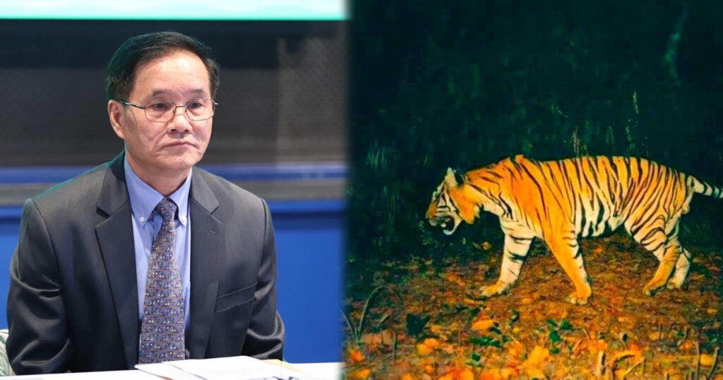 រដ្ឋាភិបាលកម្ពុជា-ឥណ្ឌា និងអង្គការសម្ព័ន្ធមិត្តសត្វព្រៃ ប្រកាសពីយុទ្ធសាស្ត្រស្តារសត្វខ្លាធំឡើងវិញនៅកម្ពុជា ខណៈសត្វខ្លាជំហានដំបូងចំនួន៤ នឹងបញ្ជូនមកដល់ឆាប់ៗនេះ