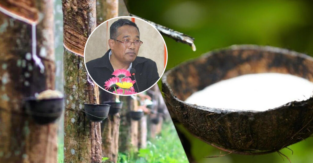 កម្ពុជារកចំណូលបានជាង ១២៥លានដុល្លារ ពីការលក់ផលិតផលកៅស៊ូ កើនជាង១២% នៅ៤ខែដំបូងឆ្នាំនេះ