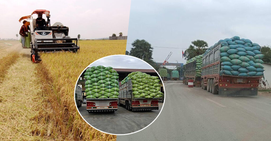 ៤ខែឆ្នាំនេះ ខេត្ដព្រៃវៃង នាំចេញស្រូវបានជាង១.២លានតោន ទទួលបានចំណូលជាង៣៦៥លានដុល្លារ