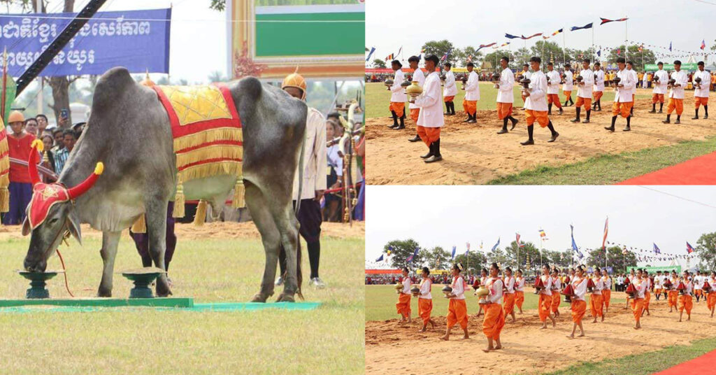 ព្រះរាជពិធីបុណ្យ ច្រត់ព្រះនង្គ័លឆ្នាំនេះ នឹងប្រព្រឹត្តទៅនៅក្រុងច្បារមន ខេត្តកំពង់ស្ពឺ