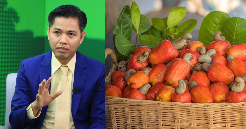 ប្រធានសហព័ន្ធ៖ ការកែច្នៃគ្រាប់ស្វាយចន្ទី ជាអាជីវកម្មត្រូវការដើមទុនធំ ហើយក្រុមហ៊ុនកែច្នៃពិបាក ក្នុងការរកឥណទាន 