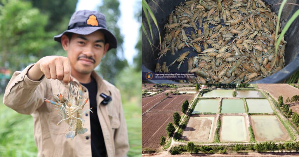 ផ្ដើមចេញពីបច្ចេកទេសរៀនតាមយូធូប កសិករមួយរូប នៅក្នុងក្រុងសិរីសោភ័ណ បានពង្រីកការចិញ្ចឹមបង្កង ពីអាងដ៏តូច រហូតដល់ពង្រីកផ្ទៃដី ជាងពីរហិកតា