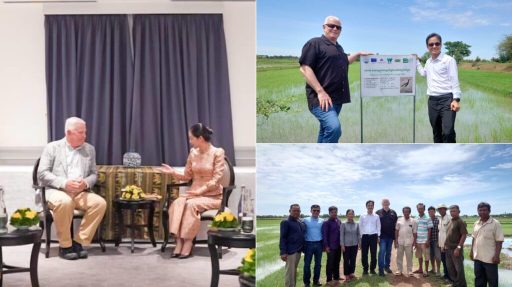 ក្រុមហ៊ុនមួយរបស់សហរដ្ឋអាមេរិក កំពុងពិនិត្យលទ្ធភាព ក្នុងការបញ្ជាទិញអង្ករកម្ពុជា សម្រាប់ចែកចាយក្នុងទីផ្សារអាមេរិក