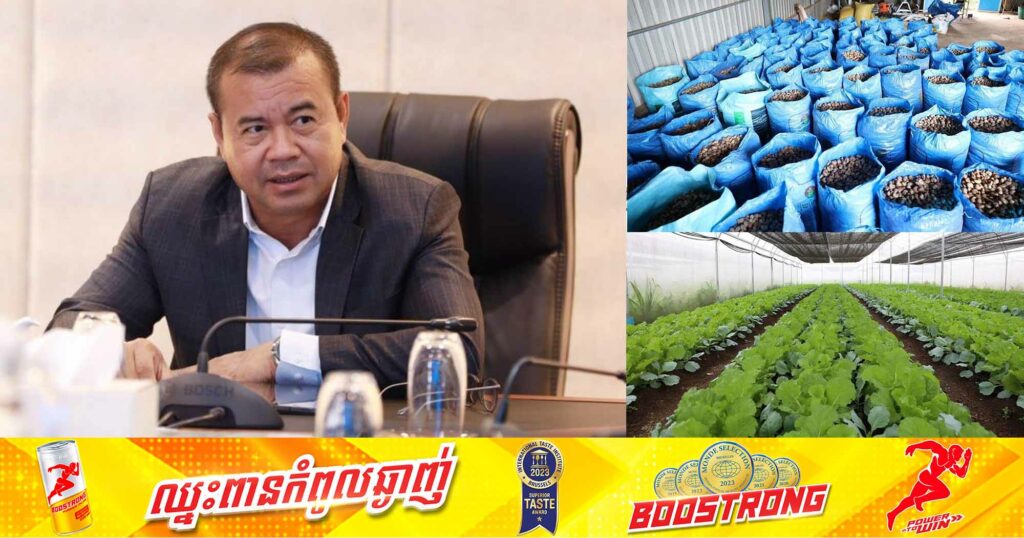 ត្រឹមដំណាច់ឆមាសទី១ ឆ្នាំនេះ ធនាគាររដ្ឋ ARDB ផ្តល់ឥណទាន ៤៤០លានដុល្លារដល់វិស័យកសិកម្ម​ ដើម្បីជំរុញការផលិត និងកែច្នៃ