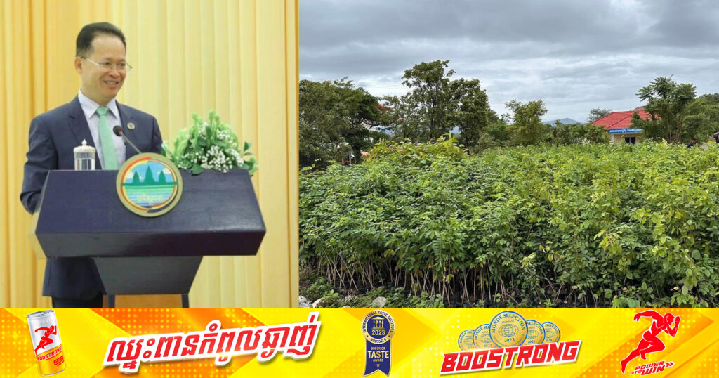 បណ្ឌិត អ៊ាង សុផល្លែត៖ ពន្លកបៃតង ជាការបណ្តុះនូវផ្នត់គំនិតភាពបៃតងសម្រាប់កម្ពុជា ព្រមទាំងបណ្តុះស្មារតី និងផ្នត់គំនិតដល់សាធារណជនគ្រប់មជ្ឈដ្ឋាន ឱ្យស្រលាញ់ភាពបៃតង និងស្រឡាញ់ដើមឈើ
