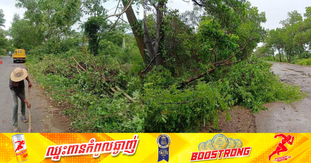 ខ្យល់កន្ត្រាក់បាក់រលំដើមឈើ លើផ្លូវជាតិលេខ៦២ និងលេខ៤