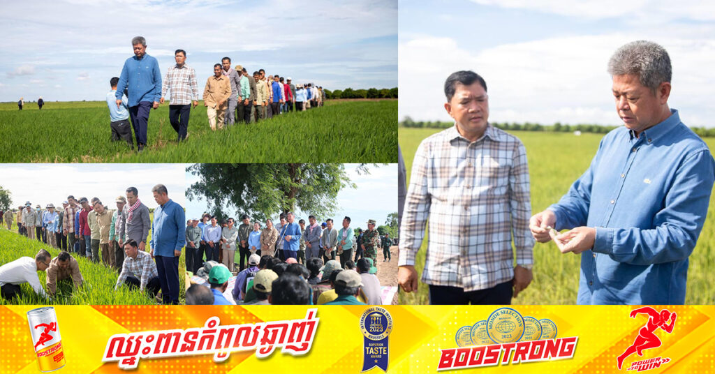 ក្រោយចូលកាន់តំណែងជាអភិបាលខេត្ត, លោក គួច ចំរើន ដឹកនាំមន្រ្តីចុះពិនិត្យ និងអន្តរាគមន៍បាញ់សម្លាប់រុយសដែលកំពុងបំផ្លាញស្រូវរបស់ប្រជាកសិករនៅស្រុកលើកដែក