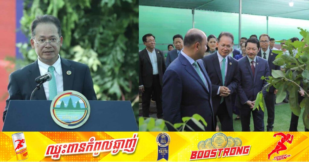 បណ្ឌិត អ៊ាង សុផល្លែត៖ ការដាំដើមឈើនៅពេលនេះ គឺការវិនិយោគទុនទុកជូនមនុស្សជំនាន់ក្រោយ