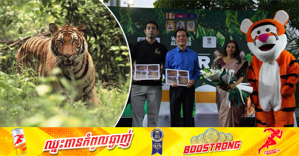 ចុងឆ្នាំ២០២៤នេះ ខ្លាធំ៤ក្បាលនឹងបញ្ជូនពីឥណ្ឌាមកកម្ពុជា ដែលជាគម្រោងស្តារសត្វខ្លាធំនៅព្រៃជួរភ្នំក្រវាញឡើងវិញ