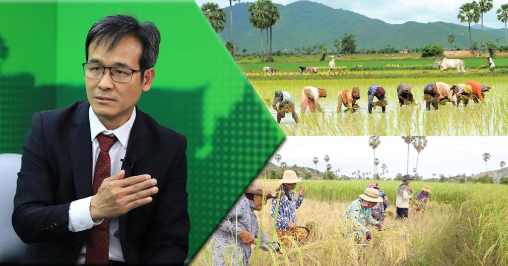 លោក សុង សារ៉ន៖ មុខរបរធ្វើស្រែនៅតែជារបរស្នូលរបស់កសិករ ដែលមានលទ្ធភាពខ្ពស់ក្នុងទទួលបានប្រាក់ចំណេញ