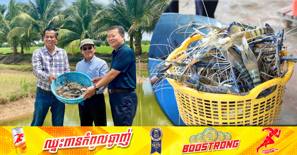 កសិករទទួលការបណ្តុះបណ្តាលបច្ចេកទេសចិញ្ចឹមបង្កង បែបទំនើបពីអ្នកជំនាញចិន ជំរុញឱ្យអត្រាបង្កងរស់ខ្ពស់ និងមានទីផ្សារល្អ