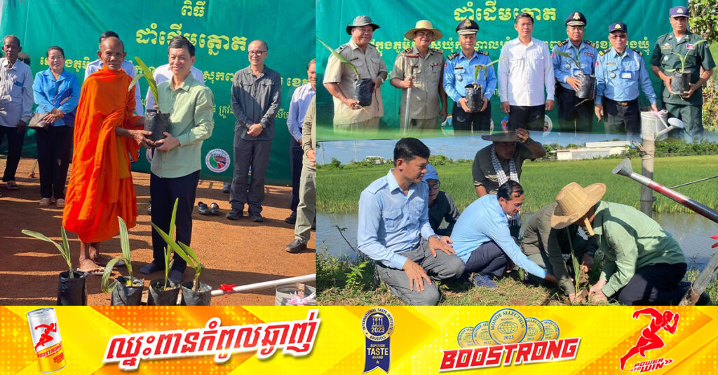 កូនត្នោតជាង ៥,៥៥៥ដើម ត្រូវបន្តយកទៅដាំក្នុងភូមិសាស្រ្តស្រុកពញាក្រែក ខេត្តត្បូងឃ្មុំ ដើម្បីបង្កើនភាពបៃតង