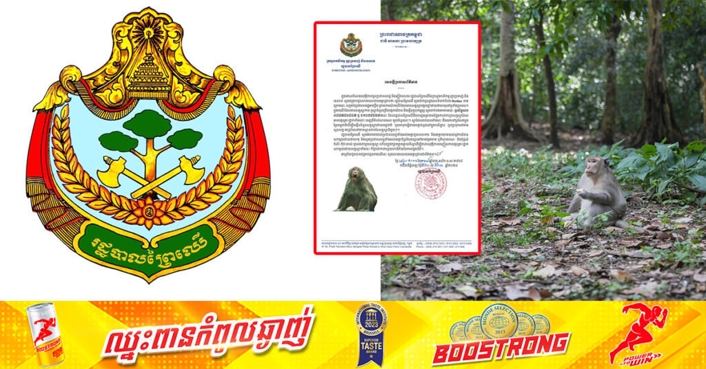 រដ្ឋបាលព្រៃឈើ ផ្សាយលេខទូរស័ព្ទ Hotline ពីរខ្សែជាសាធារណៈ ក្នុងករណីដែលមានសត្វស្វាកាច ឬស្វាចំនួនច្រើនបង្កការរំខាន និងធ្វើទុក្ខបុកម្នេញដល់ប្រជាពលរដ្ឋ សូមទំនាក់ទំនងមកភ្លាមៗ