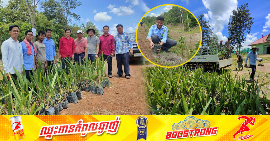 យុវជនកម្ពុជា បន្តដាំកូនត្នោតជាបន្តបន្ទាប់ចំនួន ១ម៉ឺនដើម នៅតាមខ្សែក្រវ៉ាត់ព្រំដែន កម្ពុជា-វៀតណាម