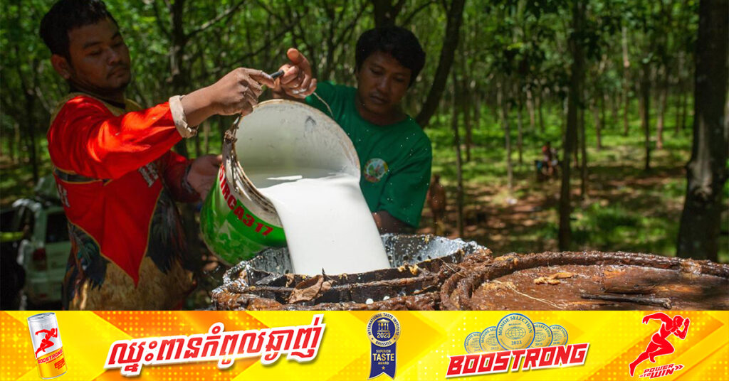 កម្ពុជារកចំណូលបានជាង ៣៣១លានដុល្លារ ពីការលក់ផលិតផលកៅស៊ូកើនជាង ២១% នៅរយៈពេល ៨ខែឆ្នាំនេះ