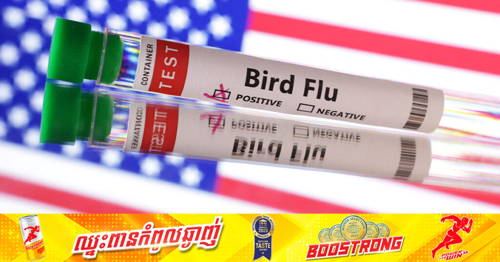 សហរដ្ឋអាមេរិក រាយការណ៍ពីករណីអ្នកឆ្លងជំងឺផ្ដាសាយបក្សីដំបូងបំផុត ដោយមិនធ្លាប់ប៉ះពាល់សត្វផ្ទុកជំងឺ