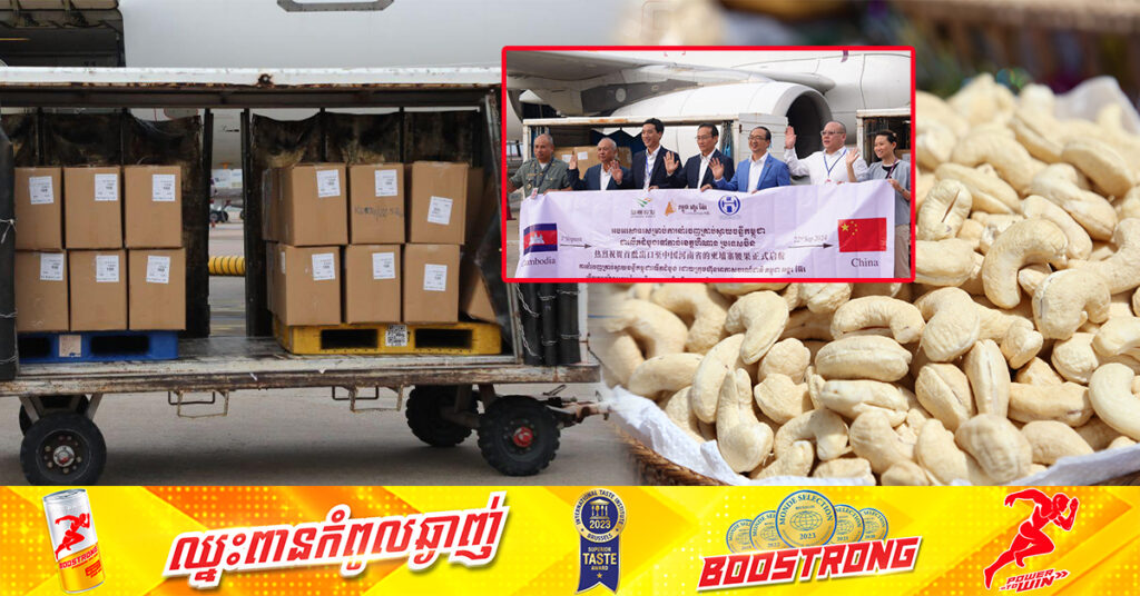 កម្ពុជា ជោគជ័យក្នុងការនាំចេញផលិតផលគ្រាប់ស្វាយចន្ទីជាលើកដំបូងទៅកាន់ទីផ្សារខេត្តហឺណាន ប្រទេសចិន