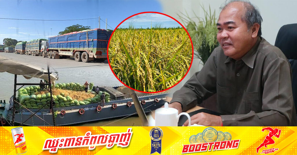 ៩ខែឆ្នាំ២០២៤ ខេត្តព្រៃវែង នាំស្រូវចេញទៅប្រទេសវៀតណាមបានជិត២លានតោន ចំណូលសរុបជាង៥០០លានដុល្លារ