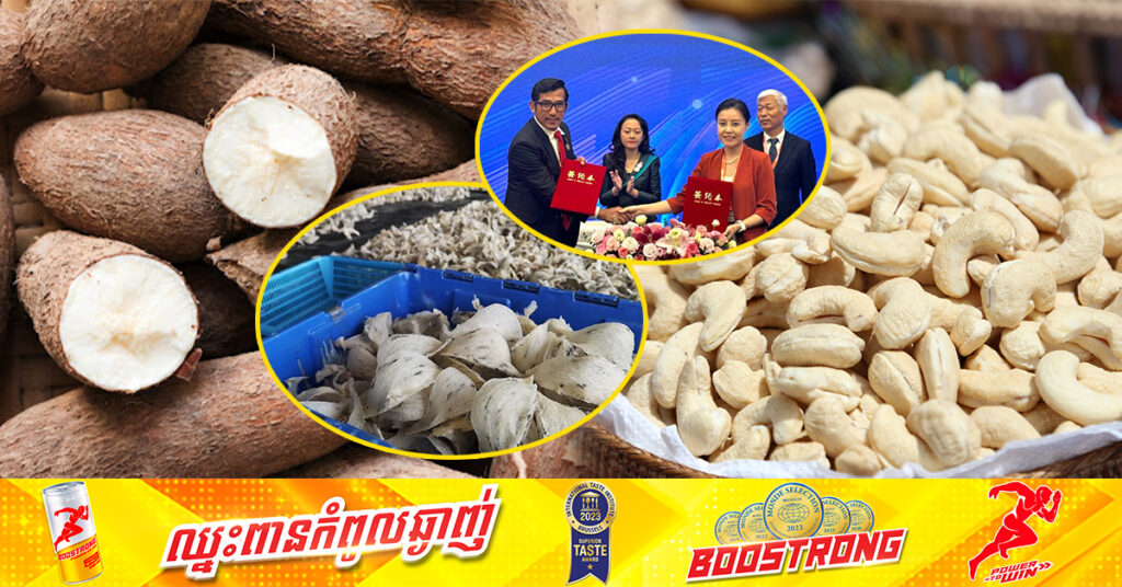 ទីបំផុត! គ្រាប់ស្វាយចន្ទី សំបុកត្រចៀកកាំ និងដំឡូងមីរបស់កម្ពុជា អាចនាំចេញដោយផ្ទាល់ទៅប្រទេសចិន