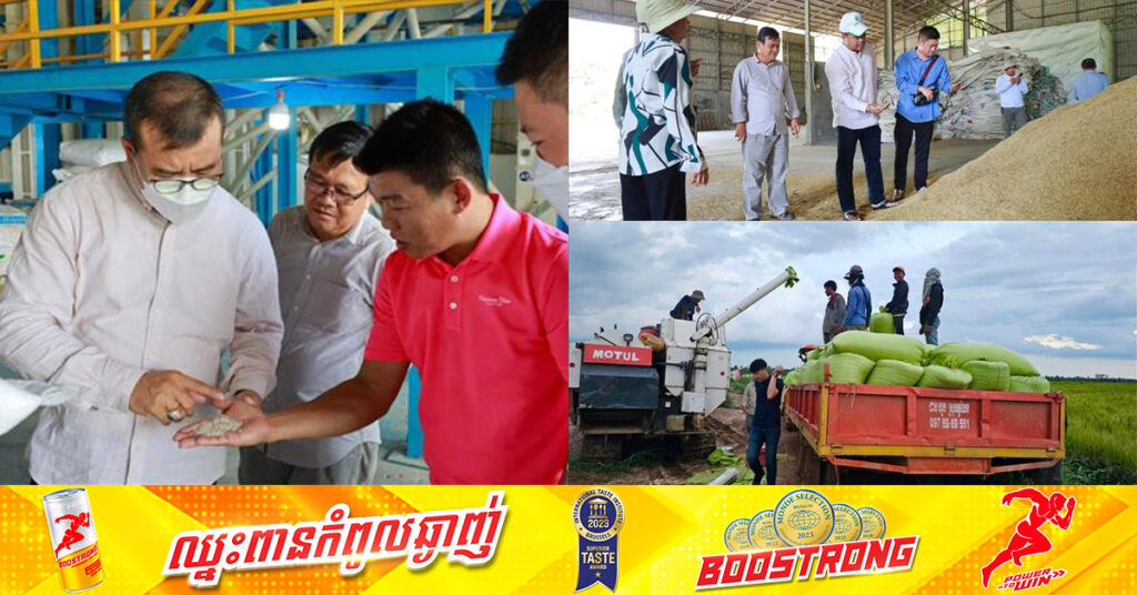 អគ្គនាយក ARDB ស្នើឱ្យម្ចាស់រោងម៉ាស៉ីនកិនស្រូវ បន្តប្រមូលទិញស្រូវពីកសិករបន្ថែមទៀត ស្របពេលការប្រមូលផលស្រូវ OM និងស្រូវស្រង៉ែ កំពុងមមាញឹក