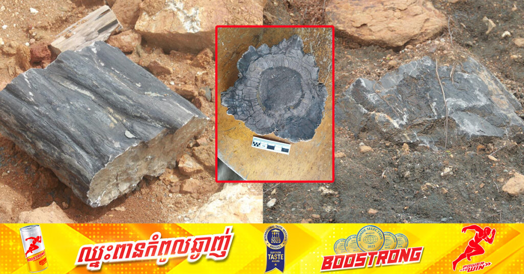 អ្នកស្រាវជ្រាវក្រសួងបរិស្ថាន រកឃើញផូស៊ីលឈើដែលមានអាយុកាលចាស់ជាងគេភ្នំកងវ៉ា
