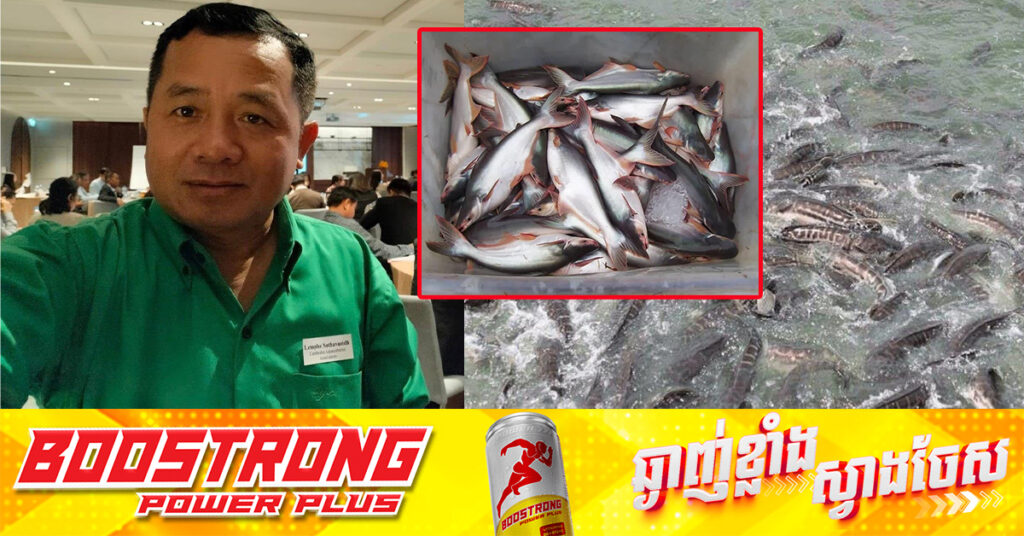 សមាគមវារីវប្បករនៅកម្ពុជា អះអាងថា ទីផ្សារ និងតម្លៃត្រី ចិញ្ចឹមក្នុងស្រុកល្អជាងឆ្នាំមុន