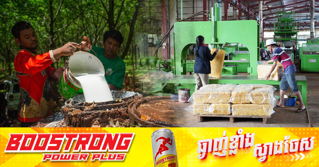 ៩ខែឆ្នាំនេះ កម្ពុជារកចំណូលបានជាង ៣៩៧លានដុល្លារ ពីការលក់ផលិតផលកៅស៊ូ កើនជាង២៣%