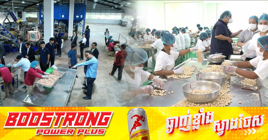 ដំណឹងរីករាយ! គ្រាប់ស្វាយចន្ទីកែច្នៃ១៦តោន នៅស្រុកកំពង់ស្វាយ ខេត្តកំពង់ធំ ត្រូវបាននាំចេញទៅសហគមន៍អឺរ៉ុបលើកដំបូង