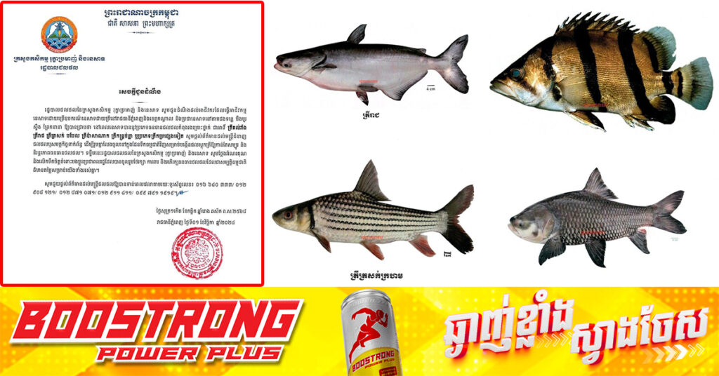 រដ្ឋបាលជលផល អំពាវនាវដល់អ្នកនេសាទ ដោយប្រើឧបករណ៍នេសាទដាយត្រី និងប្រជានេសាទ សូមលែងត្រីប្រភេទកម្រ ចូលទៅក្នុងដែនទឹកធម្មជាតិវិញ បើនេសាទបាន !