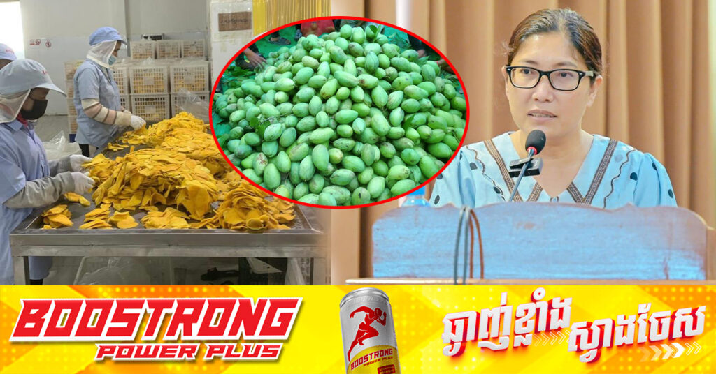 ប្រធានសមាគមស្វាយកែវរមៀតកំពង់ស្ពឺ ប្រកាសប្រមូលទិញស្វាយកែវរមៀតខុសរដូវពីកសិករ ដែលកំពុងជួបបញ្ហាទីផ្សារ និងការធ្លាក់ថ្លៃ