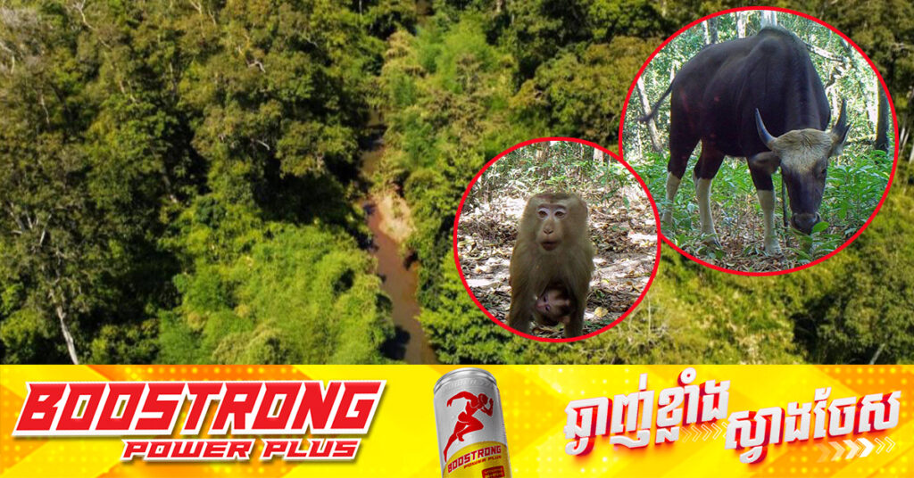 ដែនជម្រកសត្វព្រៃលំផាត់ នៅតែជាជម្រកដ៏សំខាន់សម្រាប់សត្វព្រៃធំៗ និងប្រភេទសត្វដែលកំពុងរងការគំរាមកំហែង, ខណៈសត្វព្រៃ២៨ប្រភេទត្រូវកំណត់អត្តសញ្ញាណ