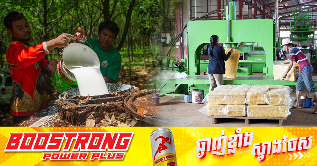 កម្ពុជារកចំណូលបានជាង ៥៧៣លានដុល្លារ ពីការលក់ផលិតផលកៅស៊ូ កើនជាង ២៨% នៅរយៈពេល ១១ខែឆ្នាំនេះ