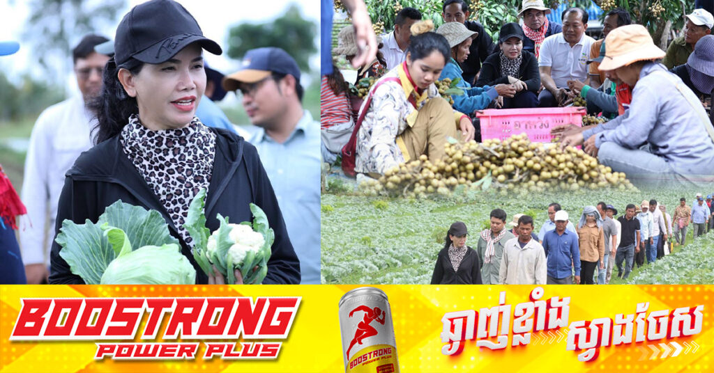 អភិបាលខេត្តប៉ៃលិន ចុះពិនិត្យការប្រមូលផលបន្លែផ្លែឈើ ដើម្បីផ្គត់ផ្គង់ទីផ្សារក្នុងស្រុក និងនាំចេញរបស់ប្រជាកសិករ ខណៈឆ្នាំនេះទីផ្សារល្អប្រសើជាងឆ្នាំកន្លងទៅ