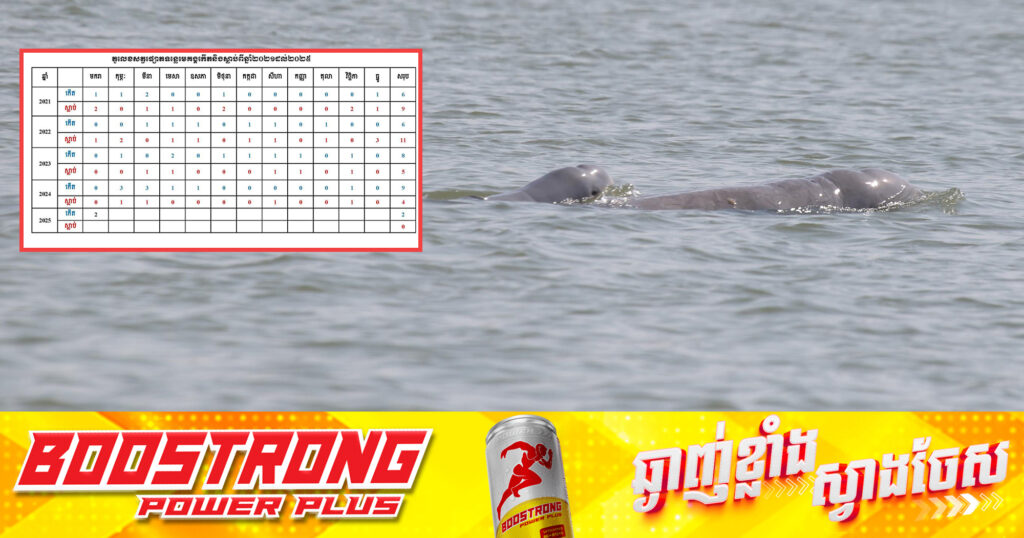 កម្ពុជាស្វាគមន៍កូនផ្សោតទី២ នាដើមឆ្នាំ២០២៥ នៅអន្លង់ត្បូងខ្លា ខេត្តស្ទឹងត្រែង!