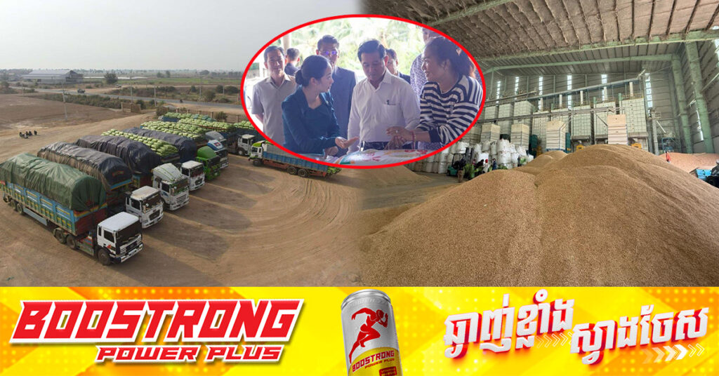 រួមគ្នាជួយកសិករ! រោងម៉ាស៉ីនកិនស្រូវធំមួយនៅខេត្តព្រៃវែង ប្រកាសទិញស្រូវគ្រប់ប្រភេទរបស់ប្រជាកសិករក្នុង១ថ្ងៃចំនួន ៧០០តោន !