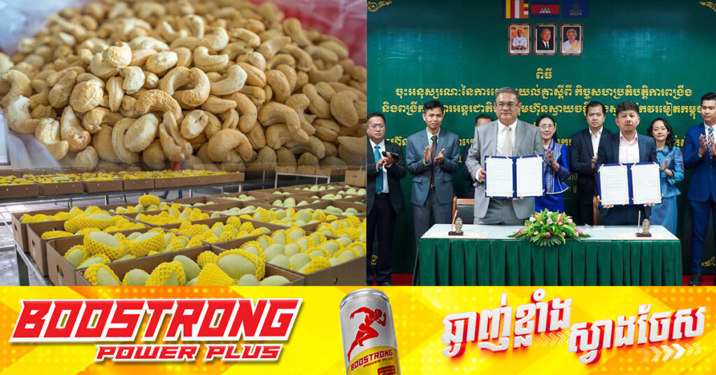 ស្វាយកែវរមៀត និងស្វាយចន្ទីកែច្នៃដែលវេចខ្ចប់ដាក់ស្លាកយីហោកម្ពុជា គ្រោងនាំចេញទៅលក់នៅទីផ្សារប្រទេសចំនួន៤ក្នុងតំបន់អាស៊ាន