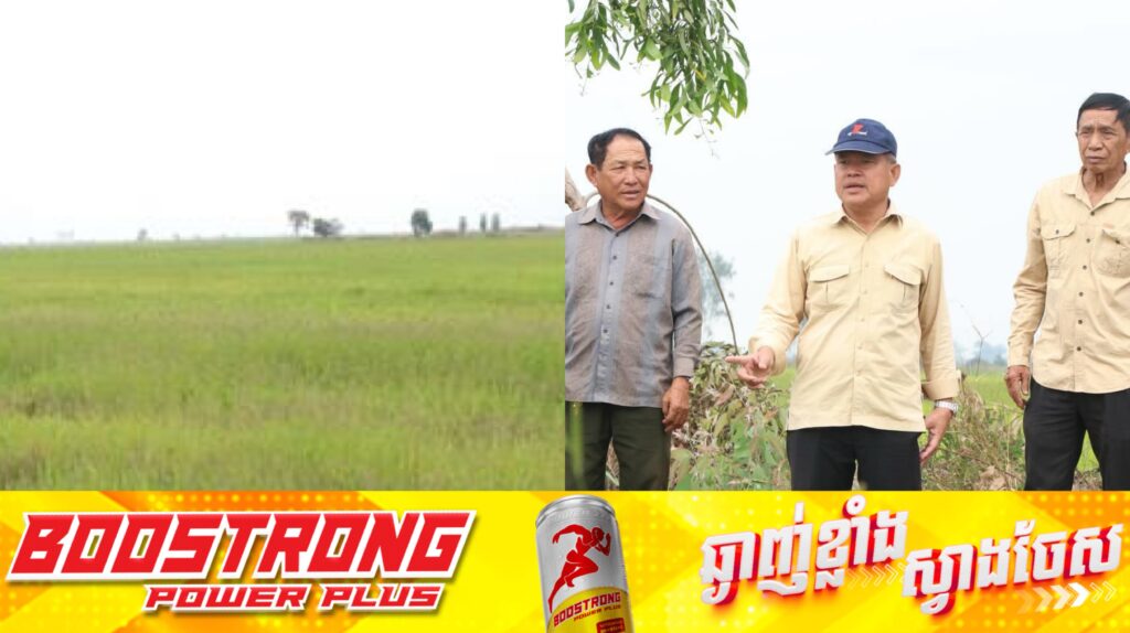 លោកអភិបាលស្រុកតាំងគោក ដឹកនាំក្រុមការងារចុះពិនិត្យមើលស្ថានភាពស្រូវប្រាំងរបស់ប្រជាកសិករដែលកំពុងប្រឈមបញ្ហាខ្វះទឹកស្រោចស្រព