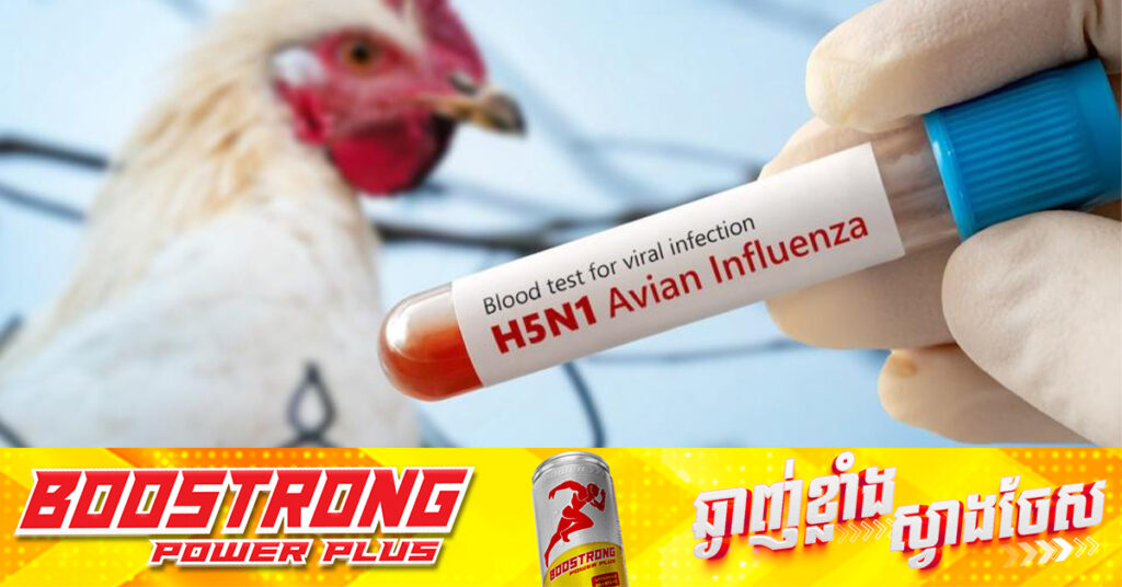 ក្រុមអ្នកជំនាញទទូចឱ្យអាមេរិកធ្វើការបន្ថែមទៀត ដើម្បីប្រយុទ្ធប្រឆាំងជំងឺផ្តាសាយបក្សី ក្រោយមានករណីបាត់បង់ជីវិតលើកដំបូង