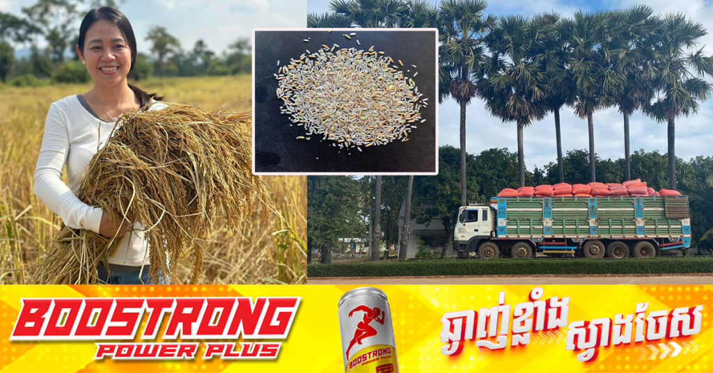 ខ្មែរជួយខ្មែរ! ម្ចាស់រោងម៉ាស៉ីន និងជាអ្នកនាំចេញអង្ករ អំពាវនាវឱ្យបងប្អូនខ្មែរជួយទិញអង្កររបស់កសិករ «មួយបាវ ពីរបាវ» ក្នុងពេលស្រូវអូអឹមធ្លាក់ថ្លៃ 