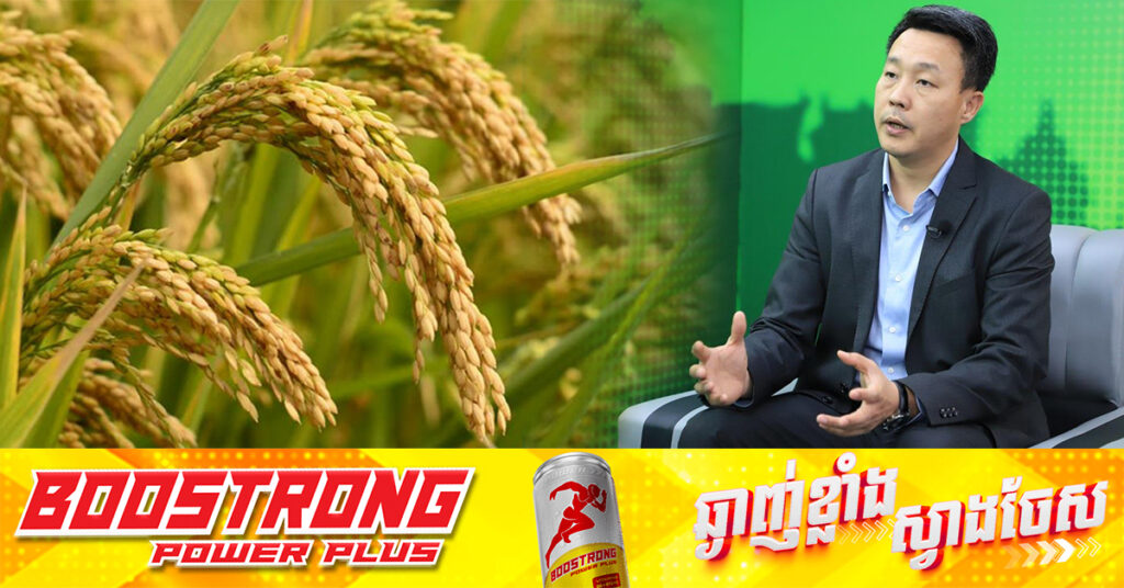 សហព័ន្ធស្រូវអង្ករកម្ពុជា បន្តអំពាវនាវដល់ប្រជាកសិករ ងាកមកដាំដុះពូជស្រូវរបស់ខ្មែរឱ្យបានច្រើន ដើម្បីបង្កើនឯករាជ្យភាពនៃការនាំចេញ