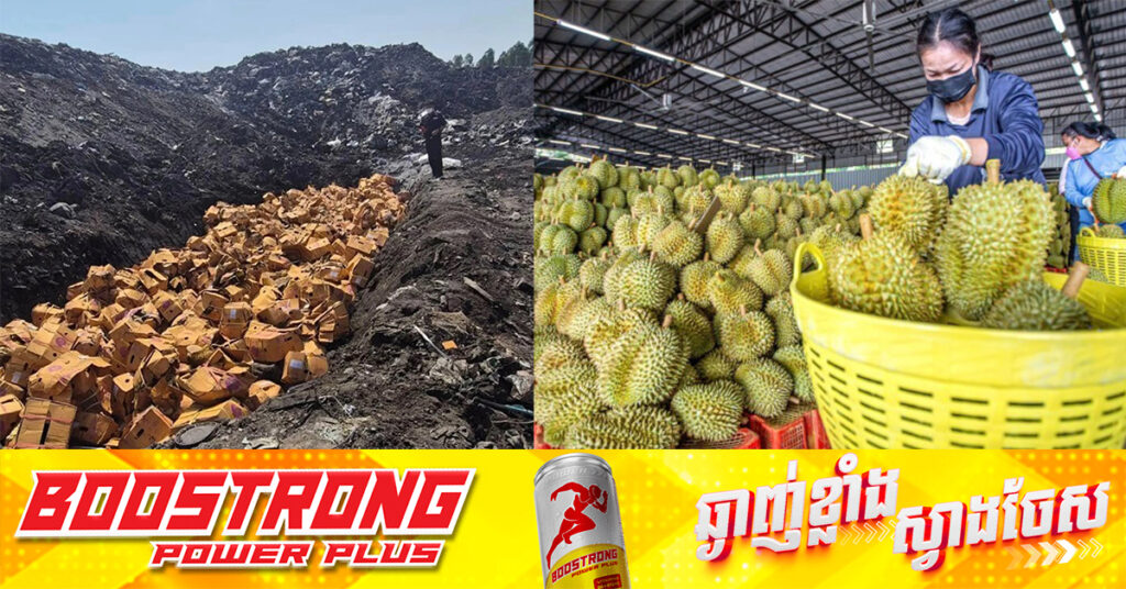 ថៃកប់ចោលទុរេនជ្រលក់ថ្នាំពណ៌លឿនជាង ៦៥តោនក្រោយចិនមិនទទួលយក