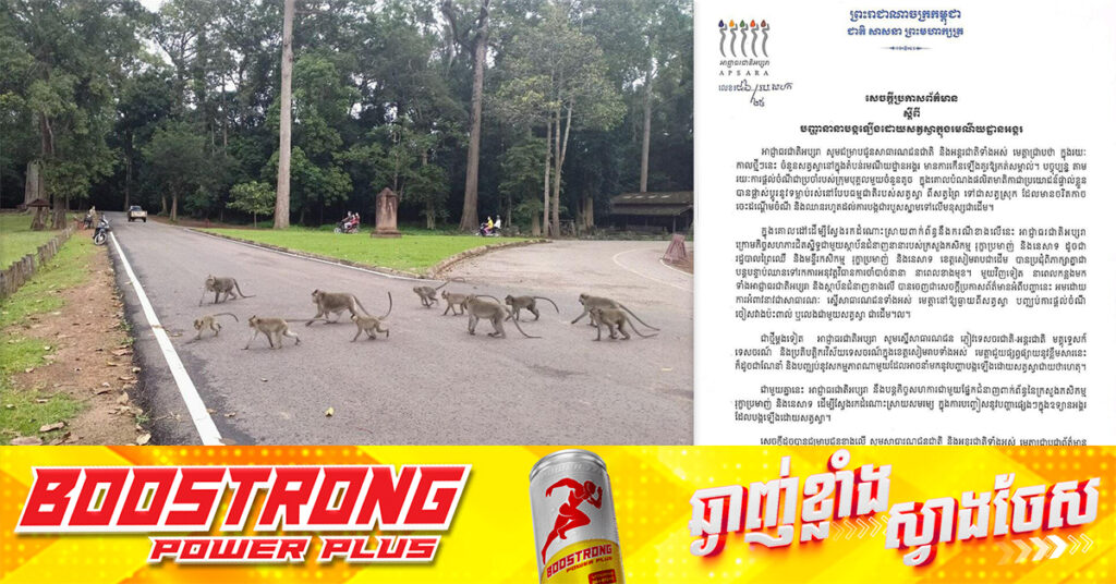 អាជ្ញាធរជាតិអប្សរា ស្នើឱ្យភ្ញៀវទេសចរនៅឱ្យឆ្ងាយ បញ្ឈប់ការផ្តល់ចំណី ចៀសវាងប៉ះពាល់ ឬលេងជាមួយសត្វស្វា ក្នុងតំបន់រមណីយដ្ឋានអង្គរ