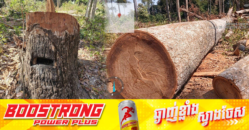 ចាប់ខ្លួនជនពាក់ព័ន្ធកាប់ឈើទាលធំៗ​នៅដែន​ជម្រក​សត្វព្រៃ-ព្រៃឡង់ ក្នុងស្រុកថាឡាបរីវ៉ាត់