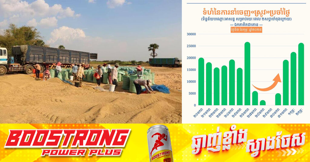 ក្រសួងកសិកម្ម៖ ការនាំចេញស្រូវប្រចាំថ្ងៃ បានវិលទៅរកប្រក្រតីភាពឡើងវិញ